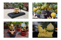 Loạt sản phẩm hình trâu hút khách dịp Tết Tân Sửu 2021 