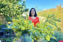 Biệt thự như resort 5 sao của Hồng Đào sau chia tay Quang Minh 