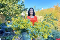 Biệt thự như resort 5 sao của Hồng Đào sau chia tay Quang Minh 