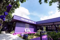 Cận cảnh căn nhà màu tím gây thương nhớ giữa miền Tây 