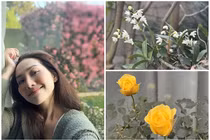 Khu vườn rực sắc xuân như tranh vẽ của Kim Hiền ở Mỹ