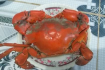 Cua biển Cà Mau bổ béo gì... giá 1 triệu đồng/kg?