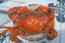 Cua biển Cà Mau bổ béo gì... giá 1 triệu đồng/kg?