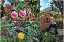 Cận cảnh khu vườn ngập hoa tươi của Hồ Lệ Thu ở Mỹ