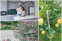 Hút mắt biệt thự trên núi ngập hoa cỏ của diễn viên Mạnh Trường