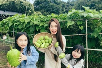 Ghé thăm nông trại nghìn m2 của Lý Hải - Minh Hà ở Đà Lạt