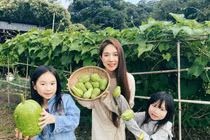 Ghé thăm nông trại nghìn m2 của Lý Hải - Minh Hà ở Đà Lạt