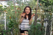 Đã mắt vườn rau quả bội thu, mỗi vụ hơn 300 kg 