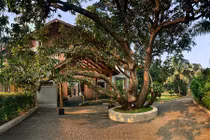 Không sơn, không trát, nhà 2 tầng vẫn đẹp mộc với tường gạch thô