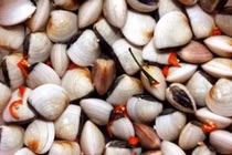 Bỏ vài quả ớt tươi vào chậu ngao, kết quả lại vô cùng kỳ diệu