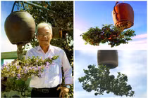 Vườn bonsai mọc ngược có 1-0-2 của “dị nhân” Quảng Nam 