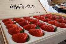 Vì sao dâu tây Kotoka Nhật Bản có giá 500.000 đồng/quả?