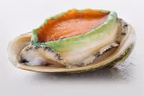 Tận mục bào ngư viền xanh “đắt cắt cổ” hút nhà giàu Việt 