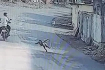 Ấn Độ: Khỉ dữ “đánh chiếm” làng, dân phải bỏ nhà ra đi 