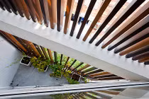 Nhà trong hẻm vẫn thoáng đãng lạ kỳ giữa Sài Gòn