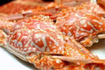 Thả thứ này vào luộc cua ghẹ thịt chắc nịch thơm ngon, đậm đà