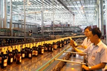 Habeco, Viettel, Sacombank vào "tầm ngắm" thanh tra năm 2019