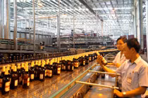 Habeco, Viettel, Sacombank vào "tầm ngắm" thanh tra năm 2019