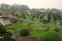 Choáng ngợp vườn bonsai bạc tỷ của đại gia tỉnh lẻ