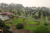 Choáng ngợp vườn bonsai bạc tỷ của đại gia tỉnh lẻ