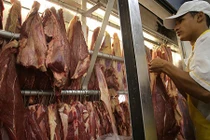 6 vụ bê bối “thịt bẩn” chấn động toàn thế giới
