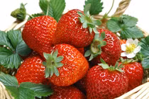 Từ vụ 3,5 tấn dâu tây nghi hàng Trung Quốc, “nằm lòng” cách phân biệt