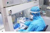 Ngày 7/5, số ca mắc mới COVID-19 giảm mạnh