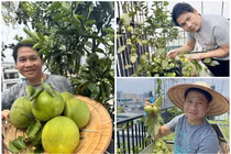 Cận cảnh khu vườn sân thượng trĩu quả trong nhà ca sĩ Trọng Tấn