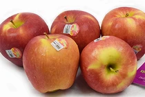 Cách phân biệt táo nhập khẩu và táo Trung Quốc "đội lốt"