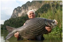 Cá hô quý hiếm cỡ nào...xẻ thịt có thể bị phạt 1 tỷ?