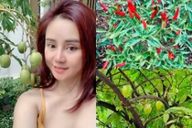 Đột nhập khu vườn ngập rau quả trong biệt thự của Vy Oanh 