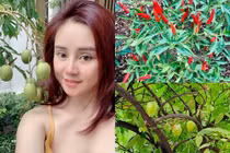 Đột nhập khu vườn ngập rau quả trong biệt thự của Vy Oanh 