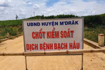 Đắk Lắk: 33 trường hợp dương tính với bạch hầu