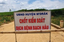 Đắk Lắk: 33 trường hợp dương tính với bạch hầu