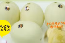 Tận mục dưa lê trắng Nhật nửa triệu đồng/kg hút khách Việt