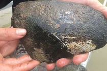 5 tỷ đồng dưới đáy ao của chàng trai Bắc Giang