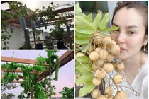 Vườn cây trái trong biệt thự của Hoa hậu tự tay rửa chân cho chồng