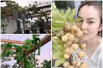Vườn cây trái trong biệt thự của Hoa hậu tự tay rửa chân cho chồng