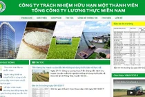 Câu chuyện nhà đầu tư chiến lược và bài học cổ phần hóa Vinafood 2 