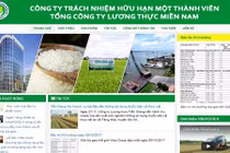 Câu chuyện nhà đầu tư chiến lược và bài học cổ phần hóa Vinafood 2 