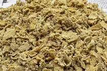 Tận mục loại trứng “đắt nhất Việt Nam”, chục triệu vẫn tranh nhau mua