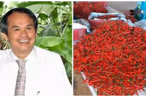 Bầu Đức lại rót thêm nghìn tỷ trồng chuối và ớt 