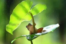 3 câu chuyện thâm thúy về hạnh phúc, ý nghĩa cuộc sống