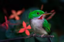 Bất kể thắng thua, 4 con giáp có thể cười lớn cuối năm 2023