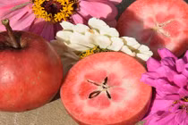 Ngạc nhiên với những giống táo kỳ quặc nhất thế giới