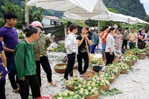 Lạng Sơn: Nhộn nhịp chợ na lớn nhất nước vào mùa