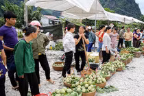 Lạng Sơn: Nhộn nhịp chợ na lớn nhất nước vào mùa