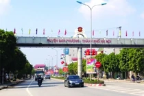 "Sốt" giá đất huyện Đan Phượng và khu vực ngoại thành Hà Nội