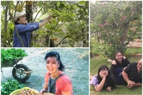 Mãn nhãn cơ ngơi đón tuổi “xế chiều” của sao Việt