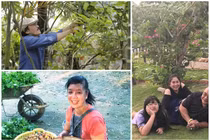 Mãn nhãn cơ ngơi đón tuổi “xế chiều” của sao Việt